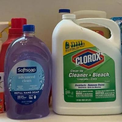 Cleaning Lot Clorox, Soft soap, Detergent, Lysol And Ziplock 
