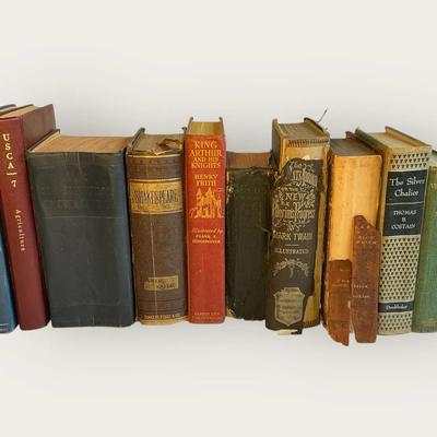 Antique Books & Dictionaries - Shakespeare, Innocents Abroad & More (LR67)