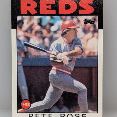 Sale Photo Thumbnail #351