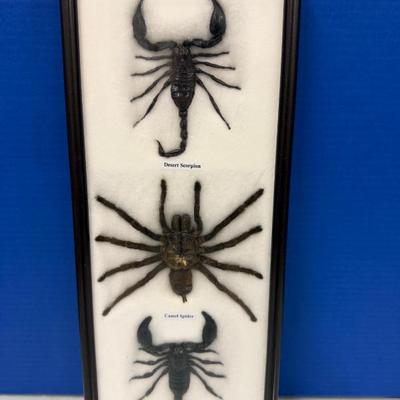 Sale Photo Thumbnail #5