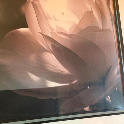 Sale Photo Thumbnail #118