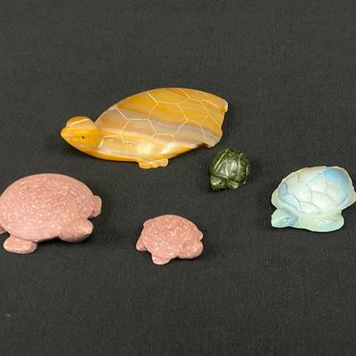 Sabino Turtle & More