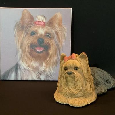 Yorkies That Don’t Yap