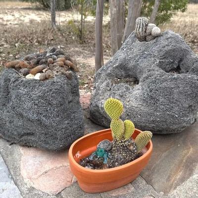 Natural rock planters/cactus garden 