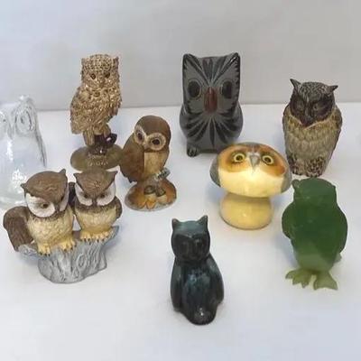 Who Likes Owls?