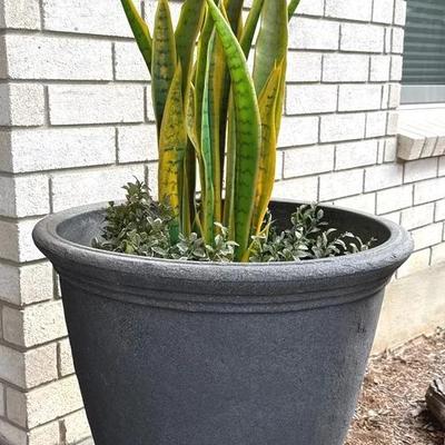 Large lightweight outdoor planter - grey 