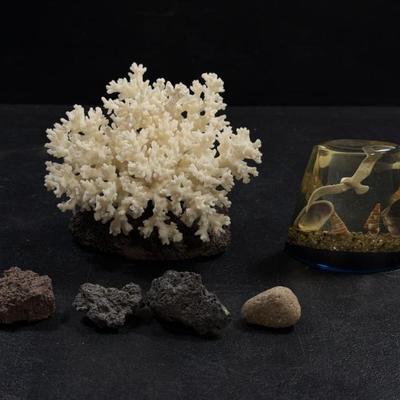 Sale Photo Thumbnail #339