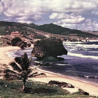 Sale Photo Thumbnail #392