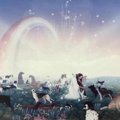 Sale Photo Thumbnail #64