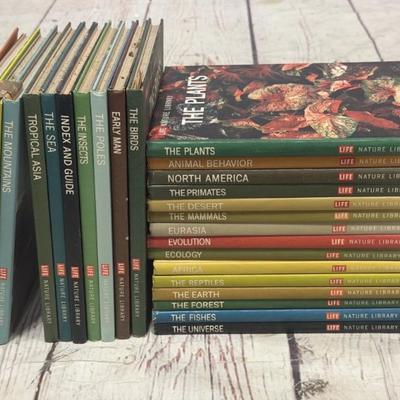 Sale Photo Thumbnail #162