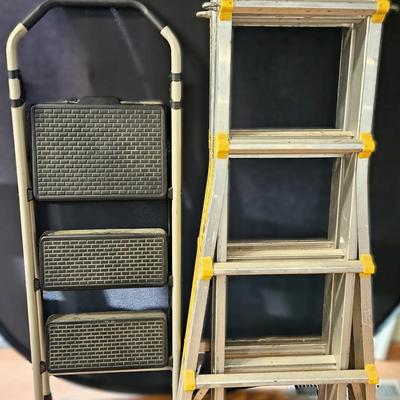 Extension & Step Ladders