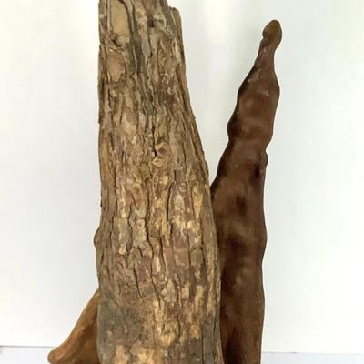 Pair Of Wabi-Sabi Cypress Knees