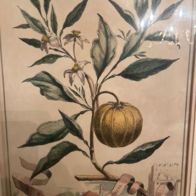 Sale Photo Thumbnail #635