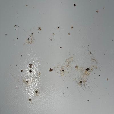 Sale Photo Thumbnail #90