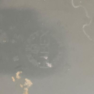 Sale Photo Thumbnail #470