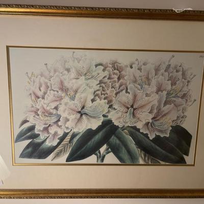 Sale Photo Thumbnail #748