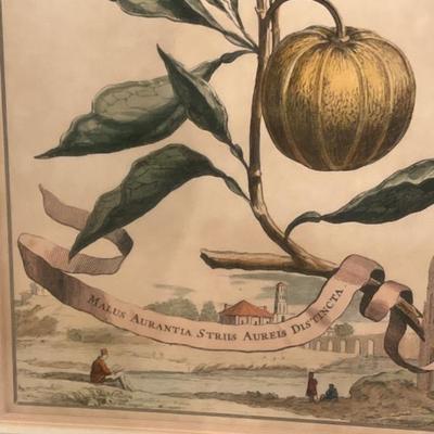 Sale Photo Thumbnail #633