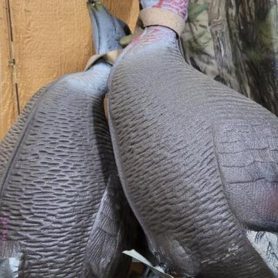 Sale Photo Thumbnail #15