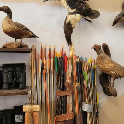 Sale Photo Thumbnail #25: Arrows