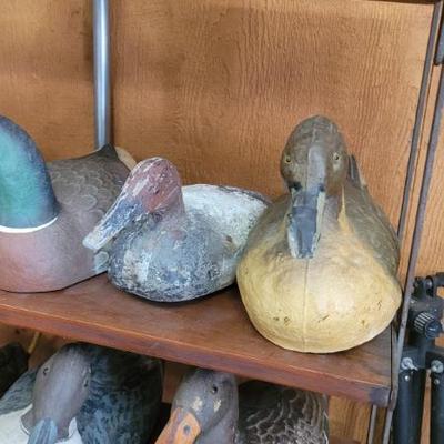 Sale Photo Thumbnail #307