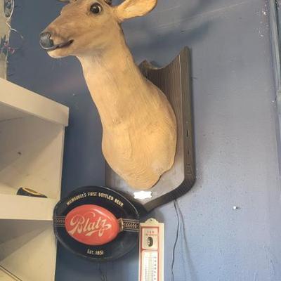 Sale Photo Thumbnail #7