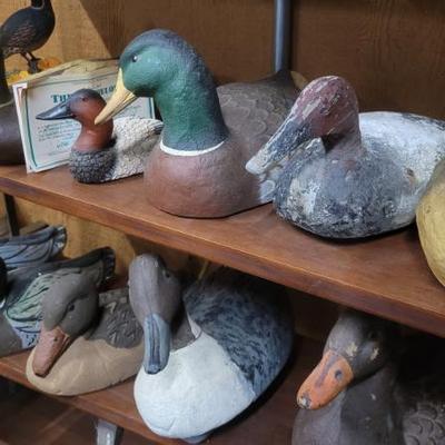 Sale Photo Thumbnail #294