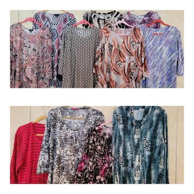 Collection Of Women's Size XL Pullover Dress Shirts