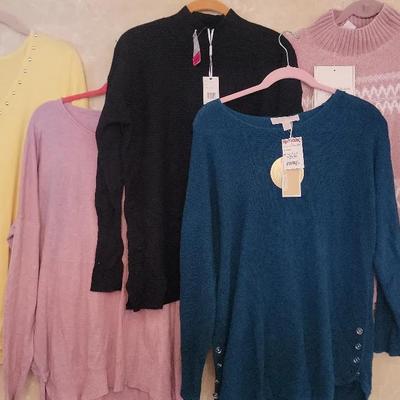 Women's Sweaters Size L  NWT 