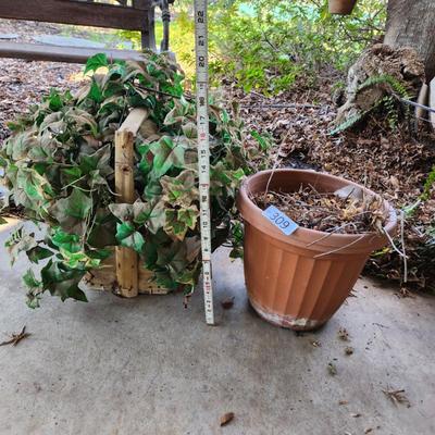 Sale Photo Thumbnail #5