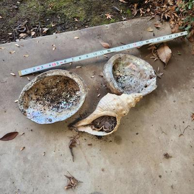 Sale Photo Thumbnail #62