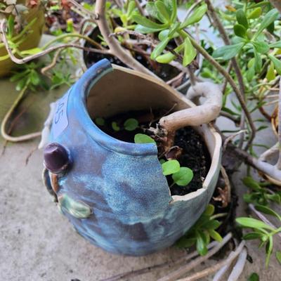 Sale Photo Thumbnail #92