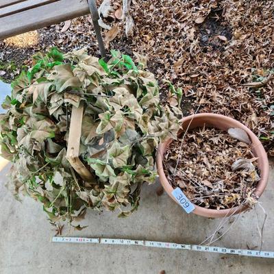 Sale Photo Thumbnail #6