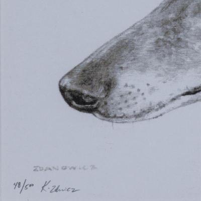 Sale Photo Thumbnail #1498