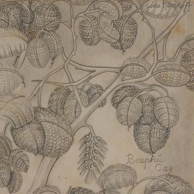 Sale Photo Thumbnail #1445