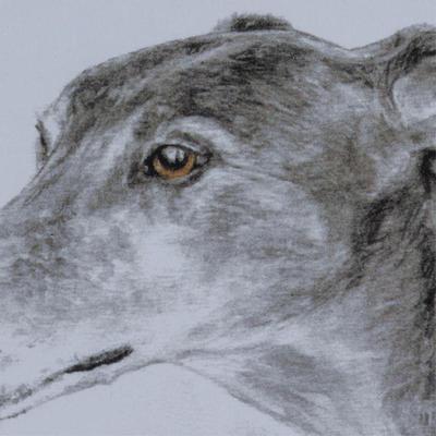 Sale Photo Thumbnail #1500