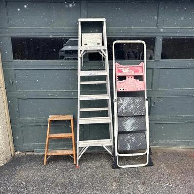 3 Assorted Ladders 