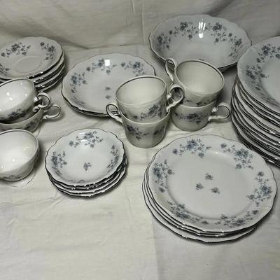 Johann Haviland Blue Garland Bavaria Germany. 12 Dinner Plates And Assorted Cups/saucers/bowls 
