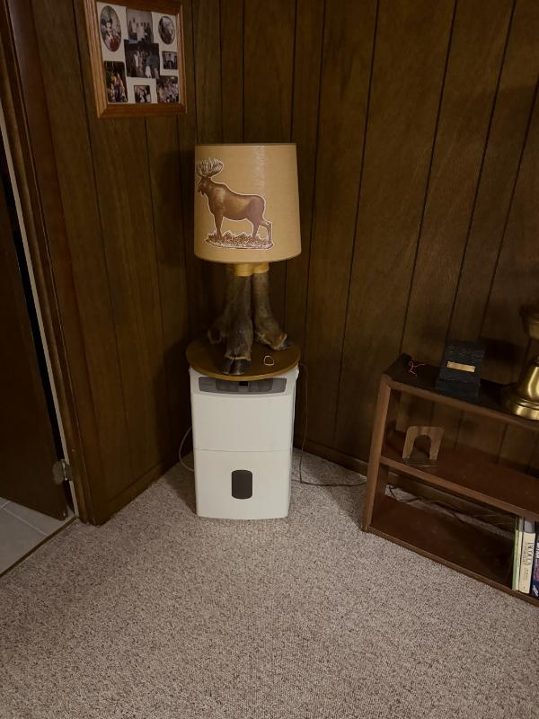 Sale Photo Thumbnail #2