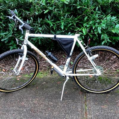 Vintage Men’s Mojave Express Bicycle 