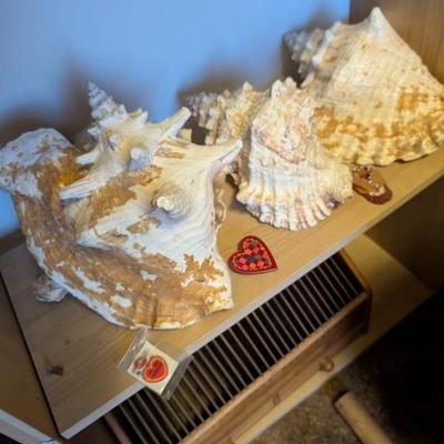 Sale Photo Thumbnail #302