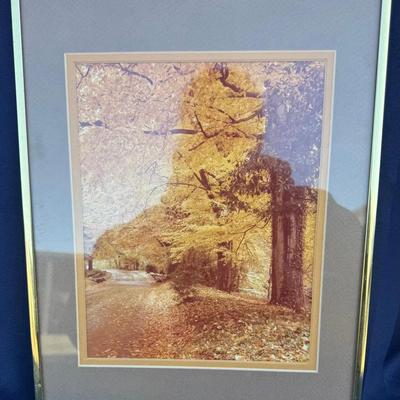 Framed Autumn Woodland Path Art Print – Gold-Tone Frame with Blue Gray Mat, Fall Landscape Wall Déco