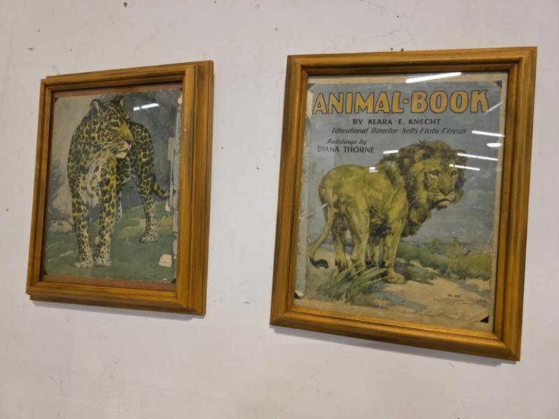 Sale Photo Thumbnail #3