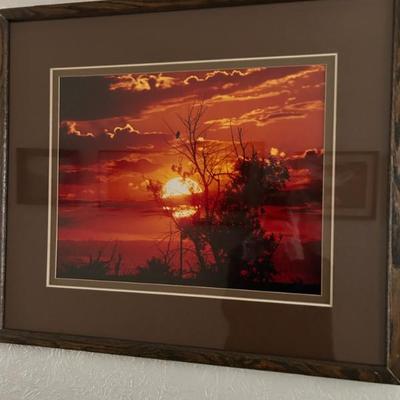 Sale Photo Thumbnail #187