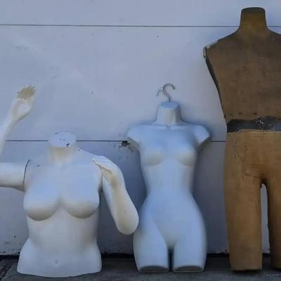 Mannequin Torso + (G)