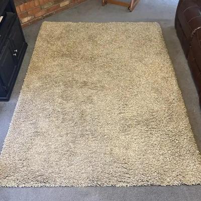 Large Beige Fluffy Living Room Rug - 92 x 64.5