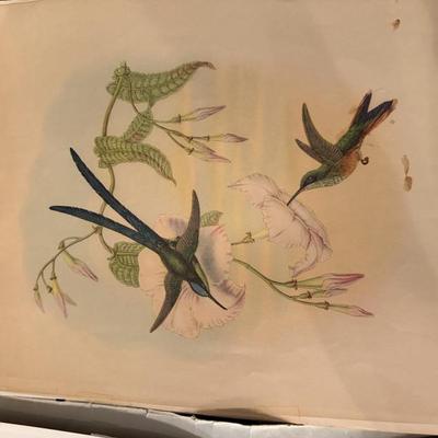 Sale Photo Thumbnail #37