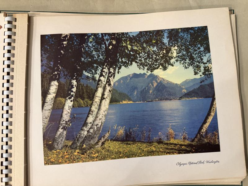 Sale Photo Thumbnail #81