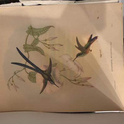 Sale Photo Thumbnail #40