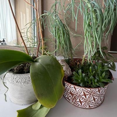 Sale Photo Thumbnail #55