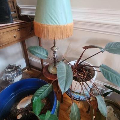 Sale Photo Thumbnail #204